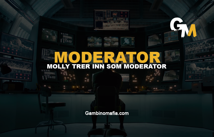 NY MODERATOR